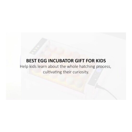 LED Light 24 Eggs Incubator Hatcher Fully Automatic Turning Temperature Control image {2}