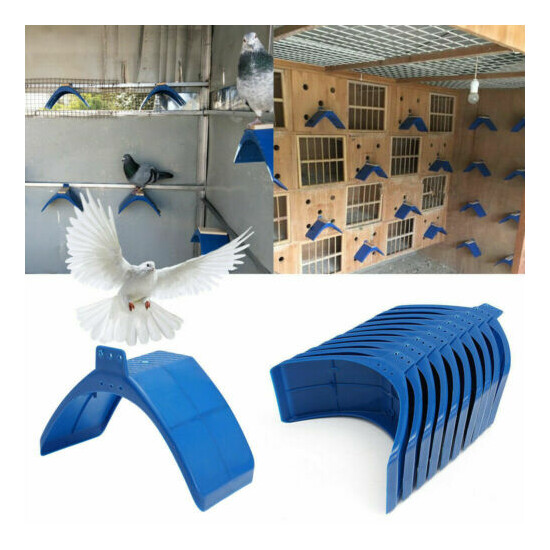 10/20x Pigeon Dove Rest Stand Plastic Frame Dwelling Perches Bird Roost Supply image {2}