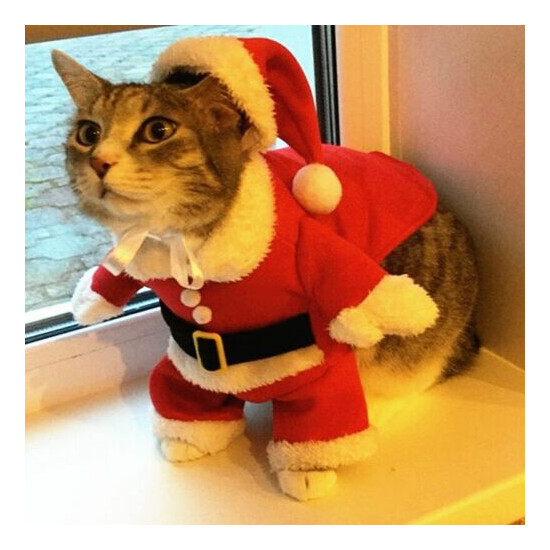 Funny Santa Claus Clothes For Small Cats Dogs Xmas New Year Pet Cat Cloth Outfit image {2}