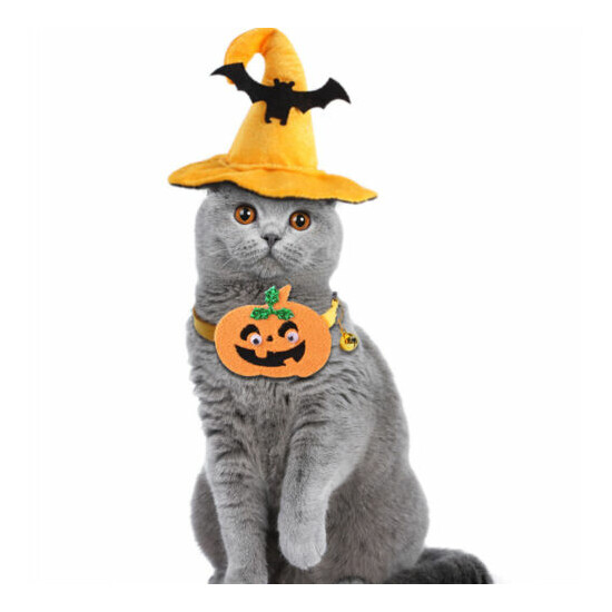 Pet Halloween Hat And Collar Set Cat Pumpkin Collar image {1}