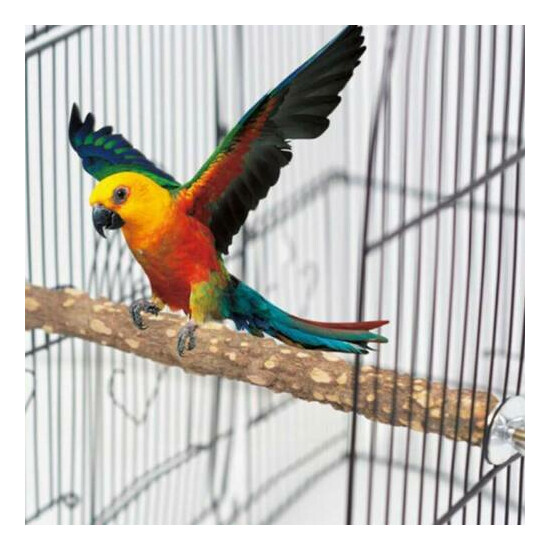 Lovely Pet Parrot Bird Toy Wood Standing Stick Perching Portable Pet Product YS image {2}