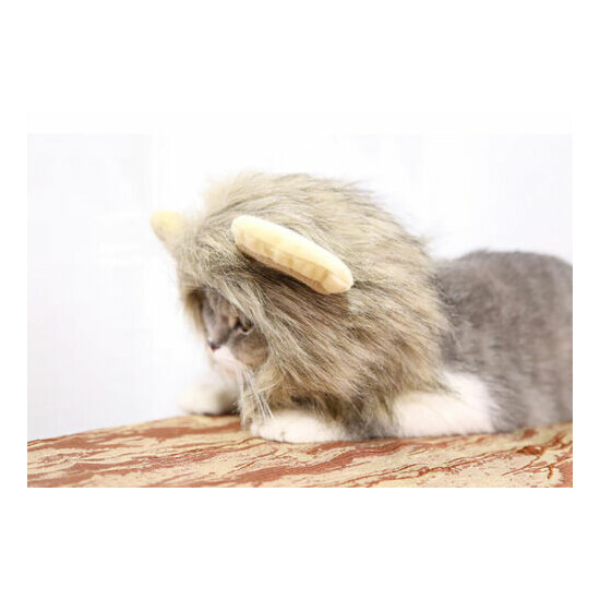 Cute Lion Mane Cat Wig Pet Small Dog Cats Costume Lion Mane Wig Cap Hat for Cat  image {3}
