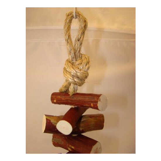 Manzanita Bird Toy Hanging Hardwood Toy 2 feet long 25 pieces of Manzanita COOL! image {2}