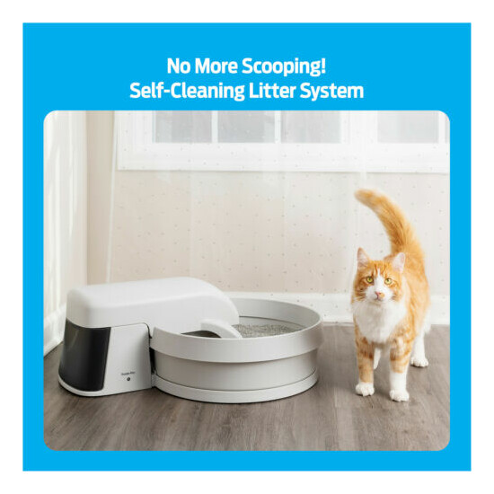 Cat Litter Box Pet No Scoop Self Cleaning House Tray Automatic Easy Tidy System image {1}