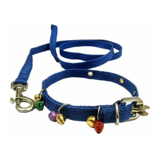 Indian Cat Collar Belt & Leash with Bells Blue (Extra Small) , Cat strap , image {2}