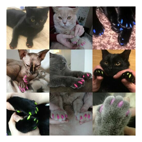 Cat Nails Caps Kitten Paws Grooming Nail Claw Soft Rubber Pet Nail Cover Animal image {2}