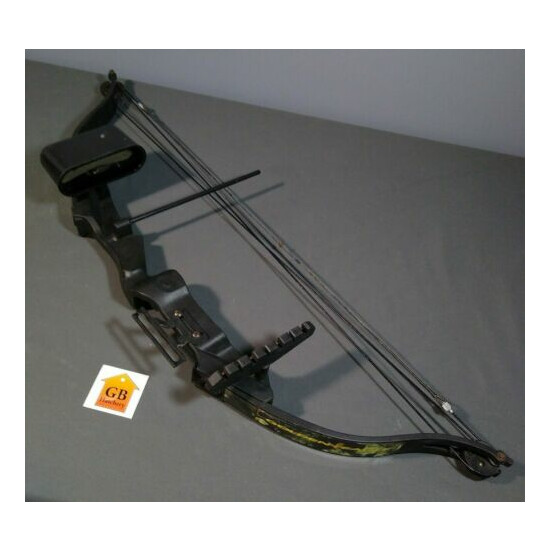 32" GOLDEN EAGLE COMPOUND BOW youth 15lb or so image {1}