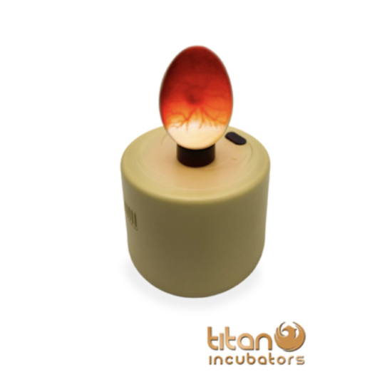 Titan High Intensity Chicken Egg Candler / Candling - Battery Powered image {1}