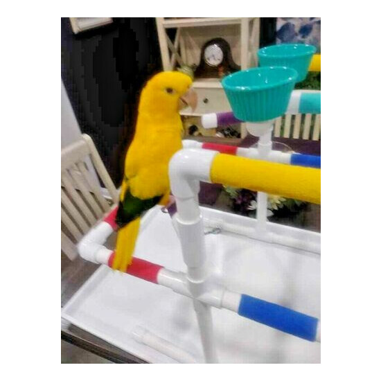 1/2" pvc Parrot Perch two tier Tabletop Play Gym Stand Birds Love Them!  image {8}