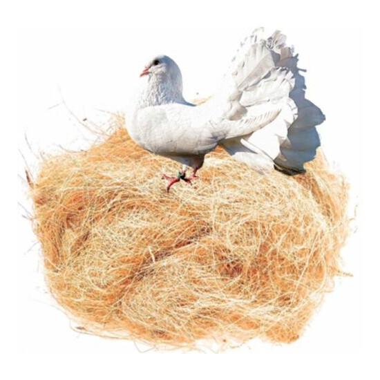 GAPS Coconut Fiber for Bird Nest, Chicks Nest Box - Nest Building/Hideouts, 5 oz image {2}