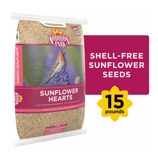 Wild Bird Food, Shell Free Sunflower Hearts 15 Lbs. Seed Feed FREE SHIPPING NEW image {1}
