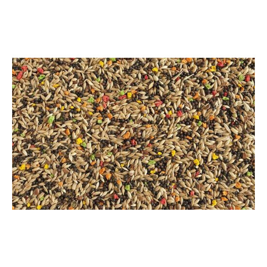 Mixed Bird Food Canary Seed Breeders Millet Flax Vitamin Birds Food 900 Grams image {1}