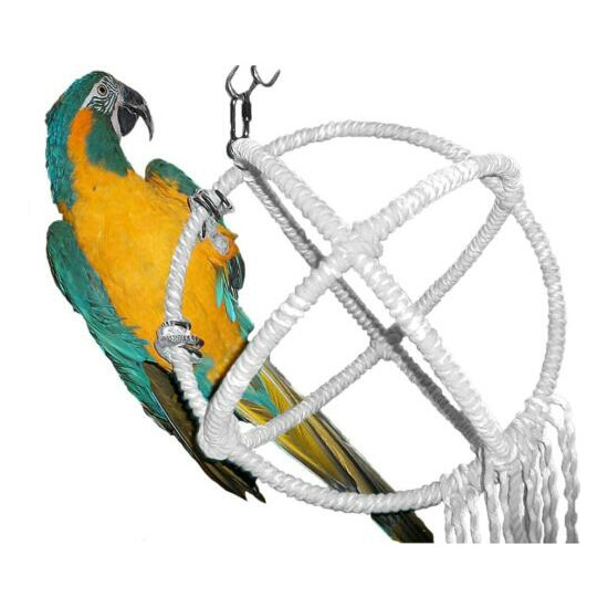 Large Parrot Orbit Swing Toys Perches image {1}