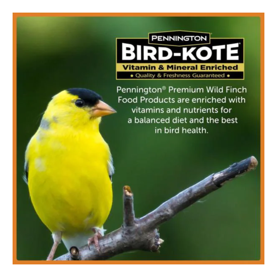 10 Lbs. Premium Wild Finch Bird Food Purple Finches Year-round Bird Feeding image {3}