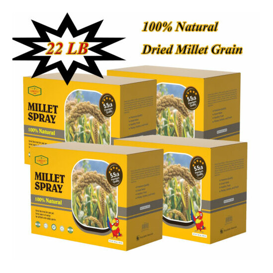 22LB Amzey Spray Millet for Parakeets 100% Natural Dried Millet Grain for Birds image {1}