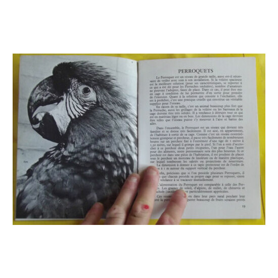 The Birds Of Cages Budgies Parrots - Doves 1967 image {2}