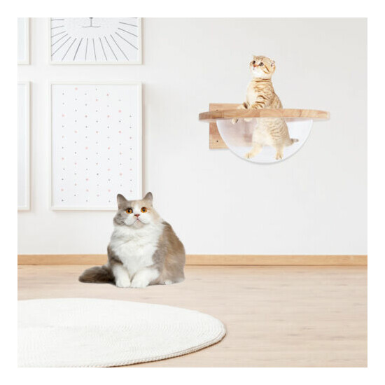 Cat Bed Wall Mounted Shelve Curved Furniture Climbing Perching Sleeping Lounging image {2}