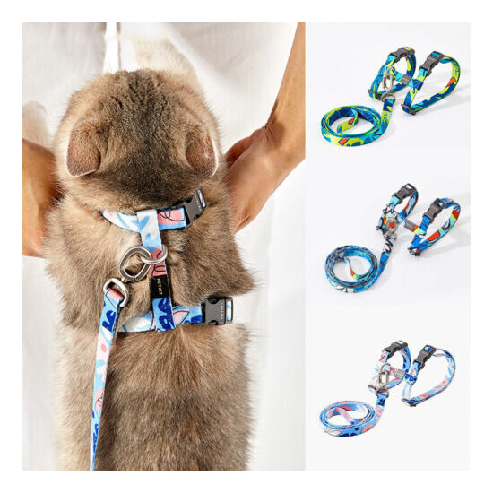 PETKIT Cat Harness Leash Set Adjustable Small Pet Animals Walking Collar Strap  image {1}