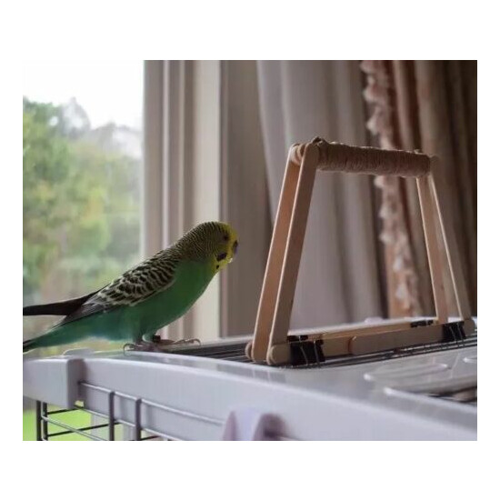 Small Pet Bird Cage Top Perch Toy Training Playground Parakeet Budgie Cockatiel image {1}