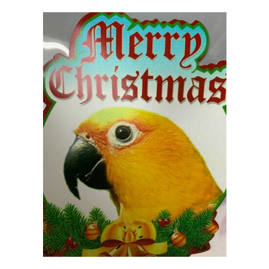 Jenday Conure / Jandaya Parakeet Parrot Exotic Bird Christmas Stockings image {1}