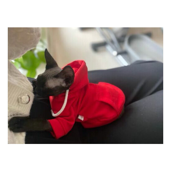 sphynx cat red cotton 2-legged hoodie size XS (brand new) image {3}
