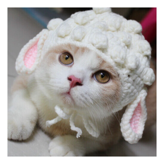 Pet Kitten Woolen Cap Knitted Cosplay sheep Cap For Cat Holiday Party Accessory image {1}