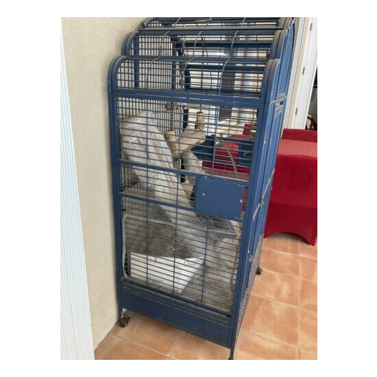 PARROT CAGE: Deluxe,California King, X-Large, All-Weather, Powder-Coated Steel. image {3}