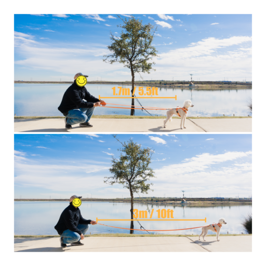 Lof Folding 10ft to 5.5ft Durable dog Leash (Length adjustable) image {4}