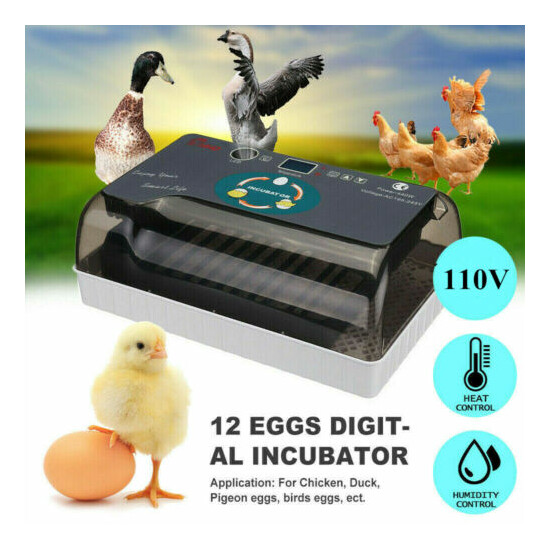 Fully Automatic Egg Incubator Auto Turning Small Digital Poultry Hatcher Machine image {2}
