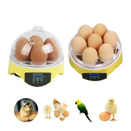Mini 7 Egg Incubator Hatcher Digital Clear Temperature Control Duck Bird 110V image {1}