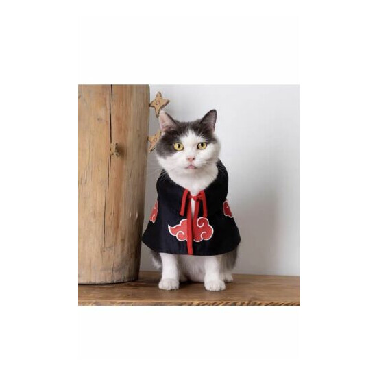 Funny & Cute cat jacket for cats, Cat Hoodie, Cat Jacket, Clothe Appeal Costume image {1}