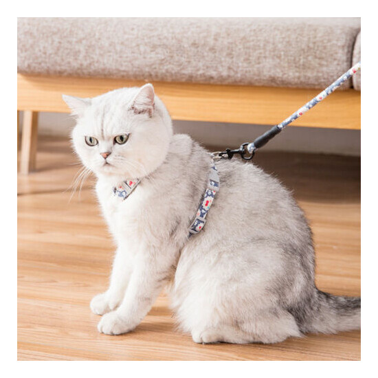 Cat Harness Leash and Collar Set Escape Proof H-shped Cat Vest Strap Adjustable image {4}