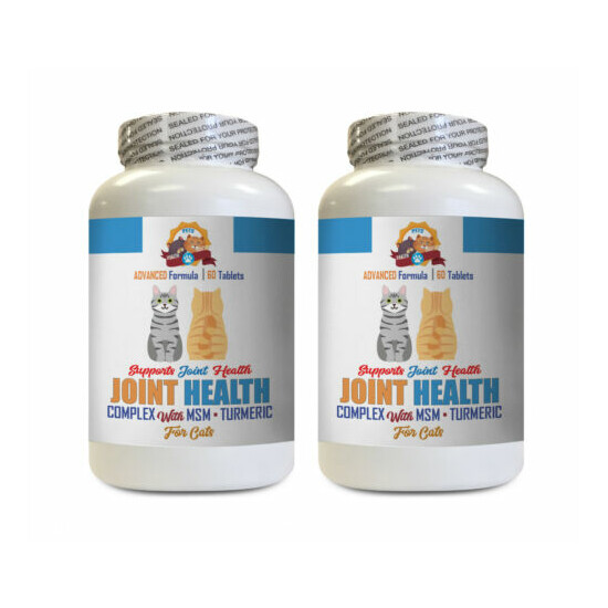 cat bone health - CAT JOINT HEALTH WITH TURMERIC - joint supplement for cats 2B image {1}