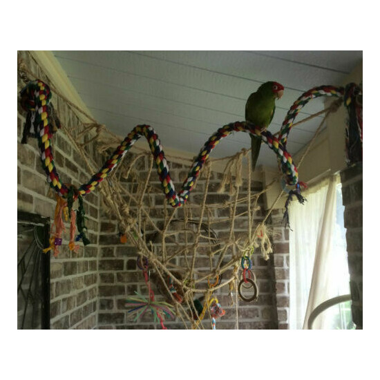 Parrot Perch Pet Bird Perch XLarge Swing Spiral Toy Bungie Perch image {2}