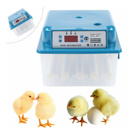 16 Egg Intelligent Incubator Digital Display Automatic Egg Turning 30W Blue Box image {1}