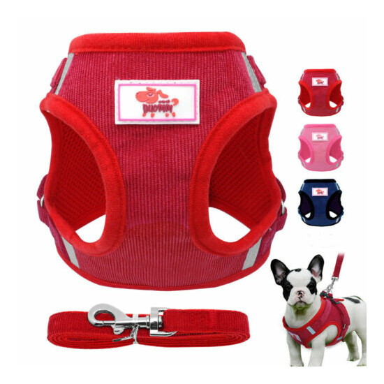 Cat Walking Jacket Harness and Leash Escape Proof Reflective Padded Vest Yorkie image {1}