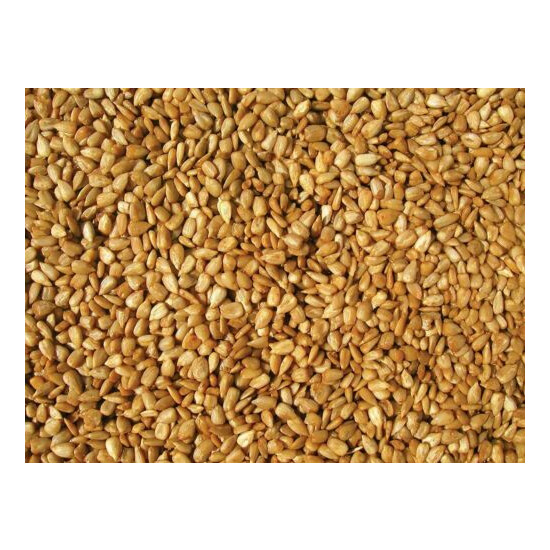 Cole's HM20 Hot Meats Bird Seed, 20-Pound, Pack of 4 image {2}