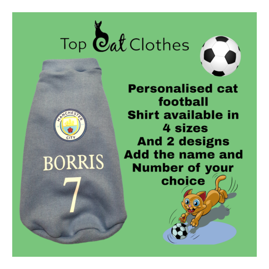 Personalised football cat shirt - Sphynx Cat Top, Devon Rex, Pet Cat Clothes image {1}