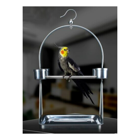 Stainless Steel Parrot Bird Stand Rack Circle Perch Shelf Play Activity Toy Hook image {4}