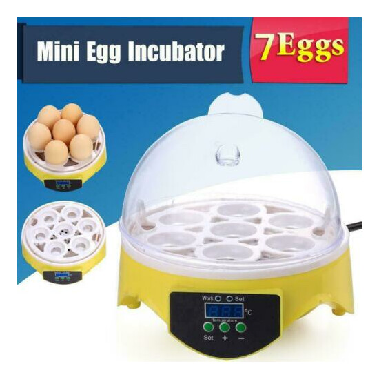Automatic Digital 7/12/48/56 Egg Incubator Hatcher Turning Temperature E image {4}
