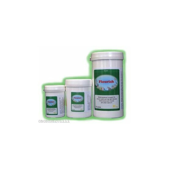 FLOURISH IMMUNE SUPPORT FOR BIRDS 80G BY THE BIRDCARE COMPANY image {1}