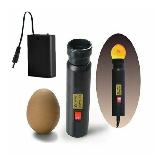 LED Egg Candler High Intensity Egg Candling Lamp for Monitoring Egg Development image {1}