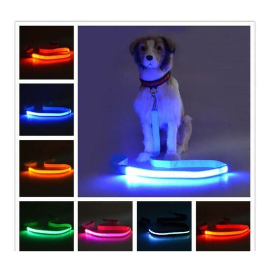 RECHARGEABLE 4FT GLOW LIGHT LEASH (1FT LED) LEAD FOR dog pet night safety flash image {3}