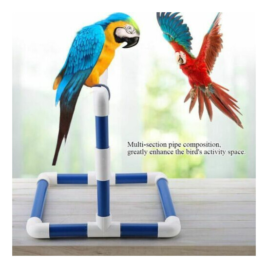 Parrot Bird Stand Perch Rack Playground Training Shower Bath Platform Pet Toys image {3}