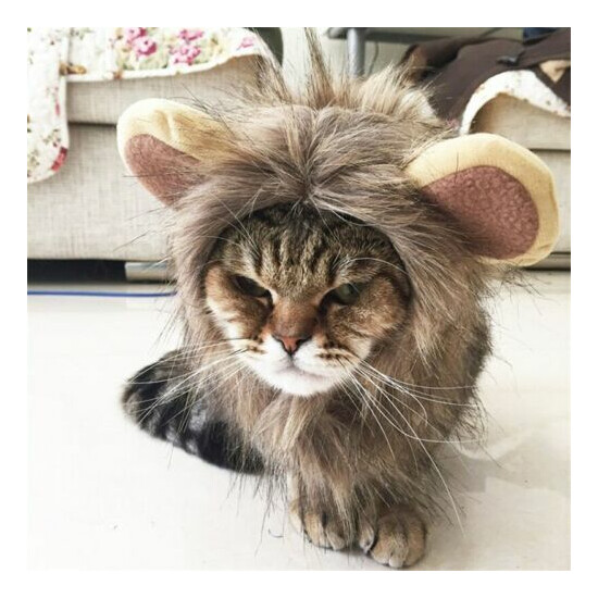 Furry Lion Hair Mane Dog / Cat Hat W/ Ears Cute Costume Headwear Pet Accessory image {1}