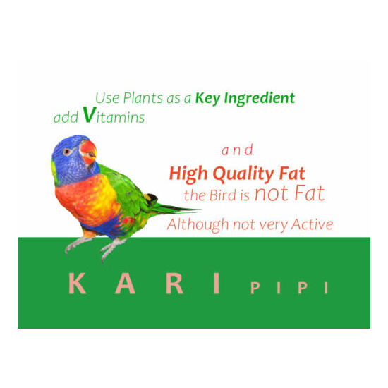 600g Karipipi Parakeete Medium Pellet Grain Food Medium Sized Parrots,Sun Conure image {5}