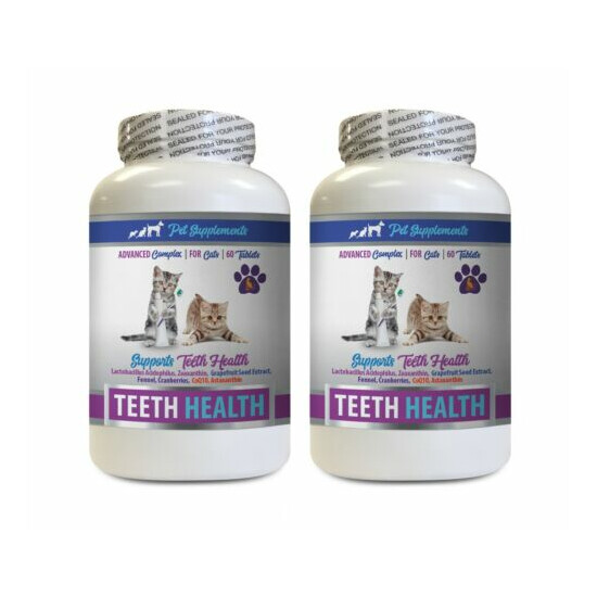 cat bad breath - CAT TEETH AND GUM HEALTH 2B - cat vitamin b image {1}