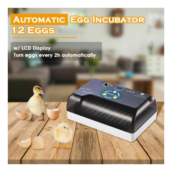 7/9/12/24/32/36/41Egg Incubator Digital Hatcher Bird Chicken Auto/Manual Turning image {4}