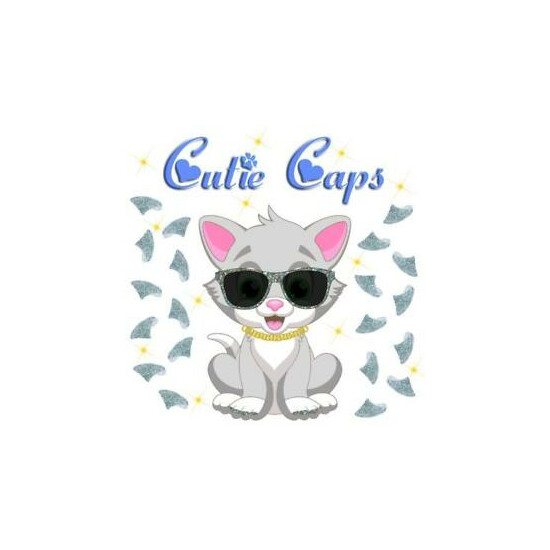 Cutie Caps 40 pack Silver Prism Glitter Soft Nail Guard for Cat Paws / Claws image {1}