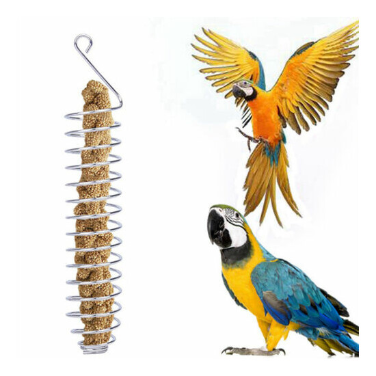 Parrot Food Fruits Basket Millet Stainless Steel Feeding Device Bird Cage Feeder image {1}
